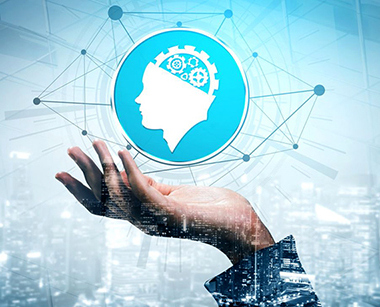 Политика в области интеллектуальной собственности (2025)